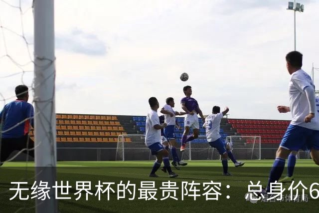 无缘世界杯的最贵阵容：总身价6.7亿 意大利5人
